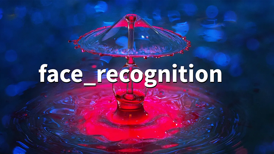 Face Recognition Tool Fig